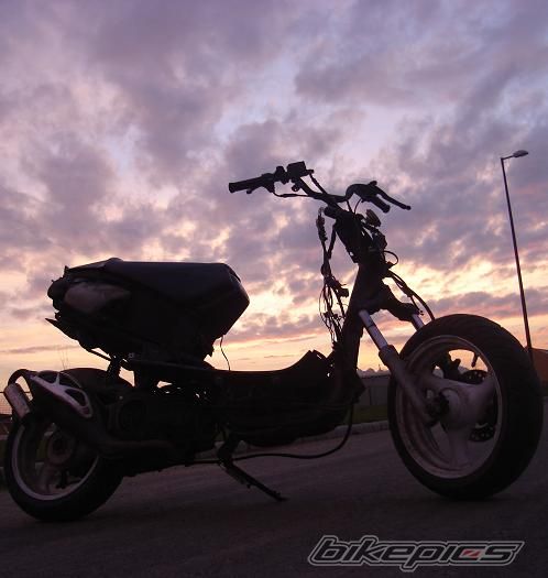 Photo 1429712