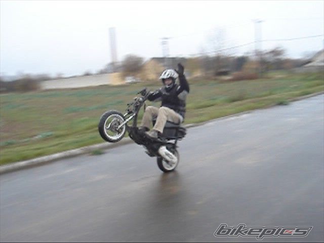 Photo 1429714