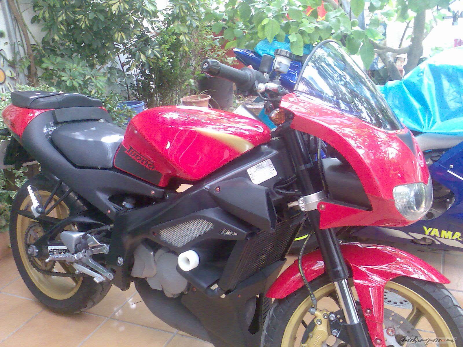 Photo 1429717