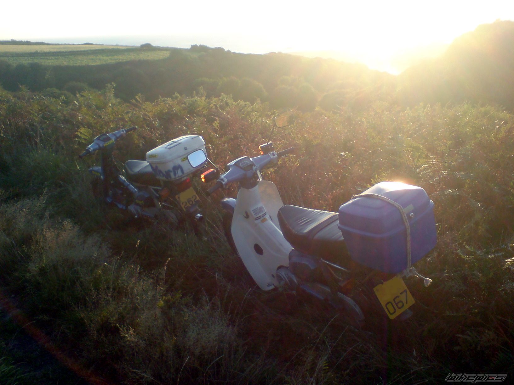 Bike Photo 1429746