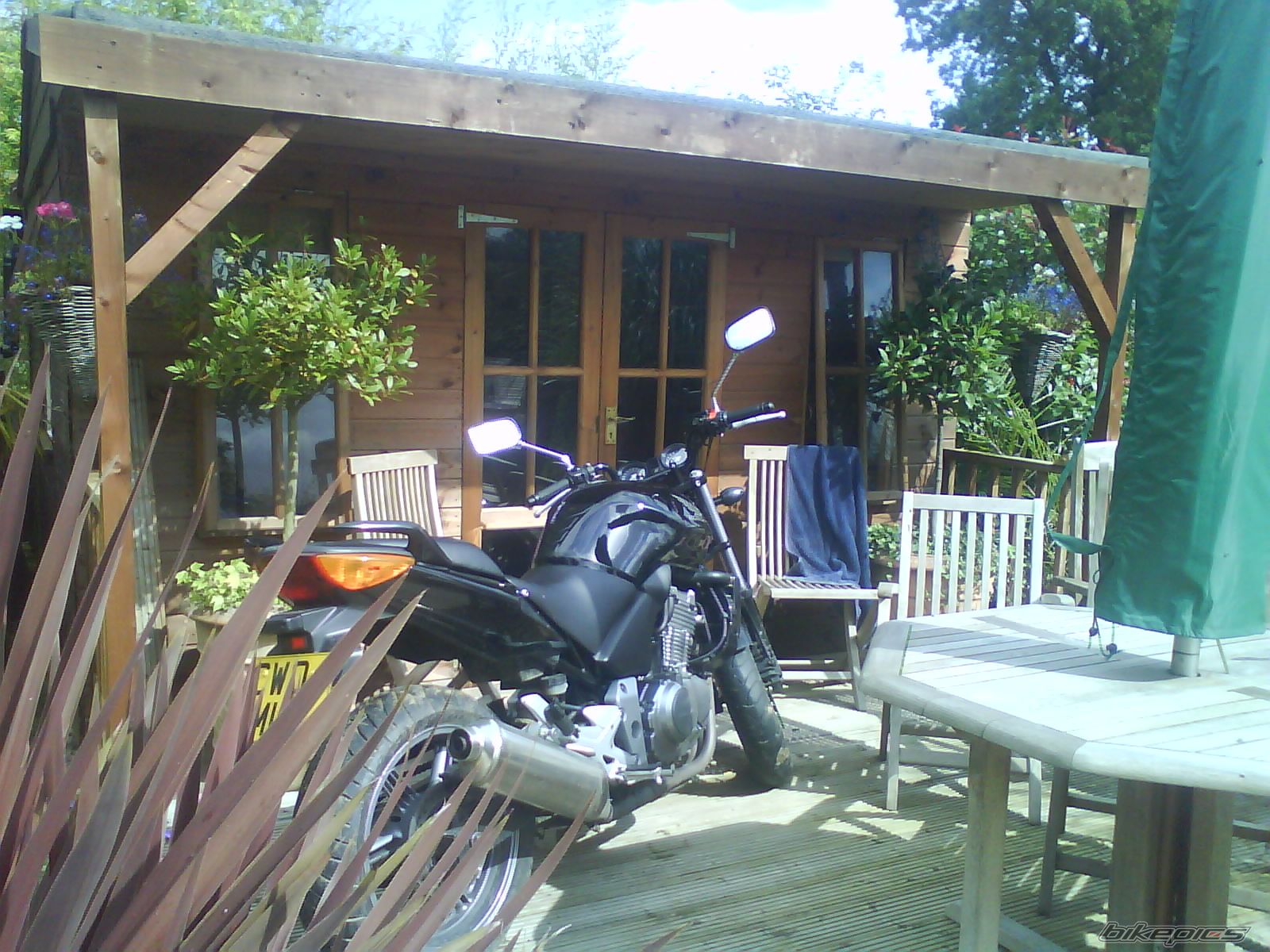 Photo 1429781