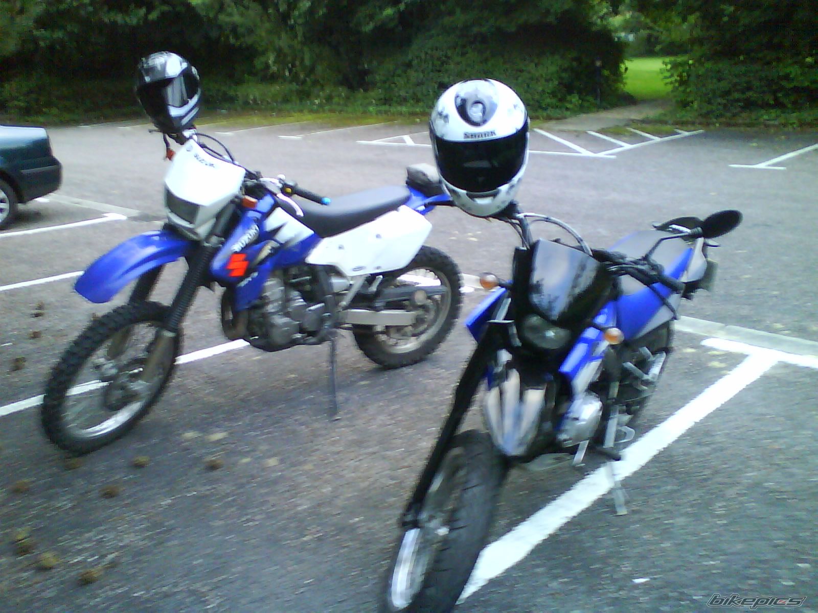 Photo 1429791