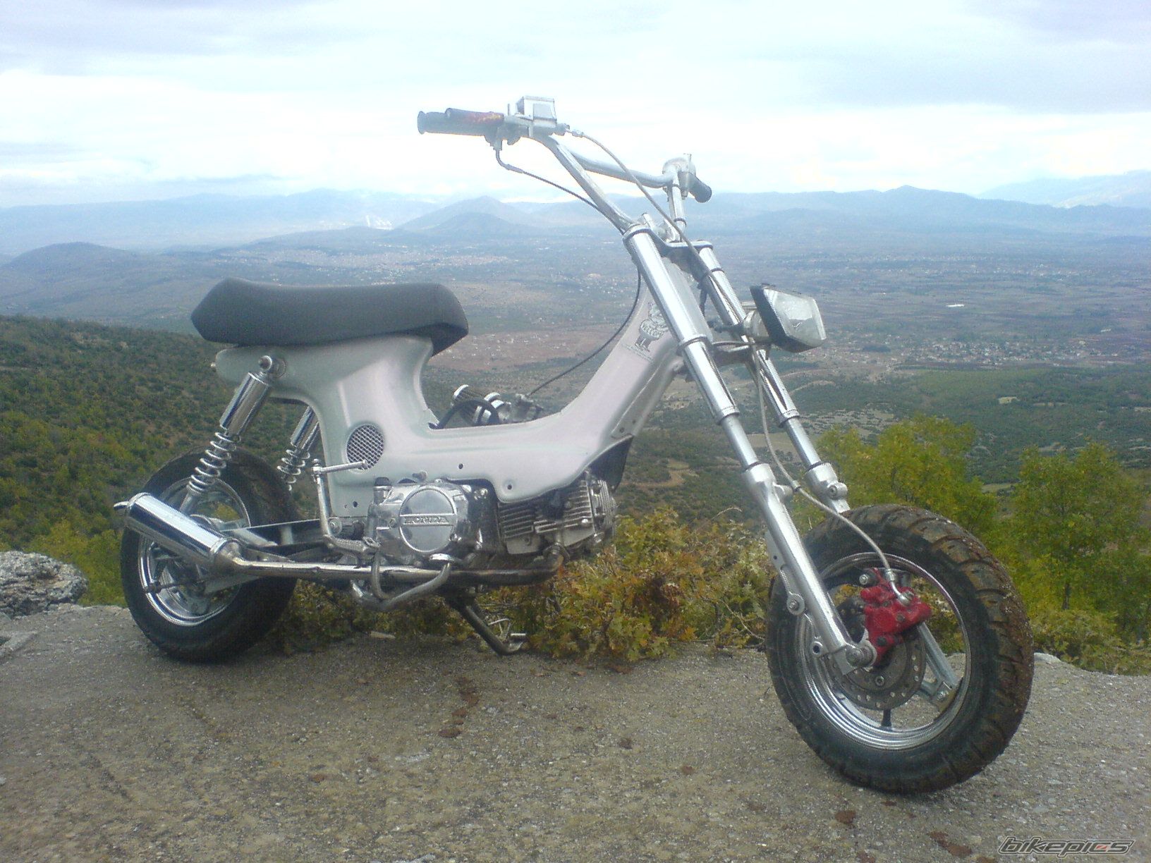 Photo 1429803