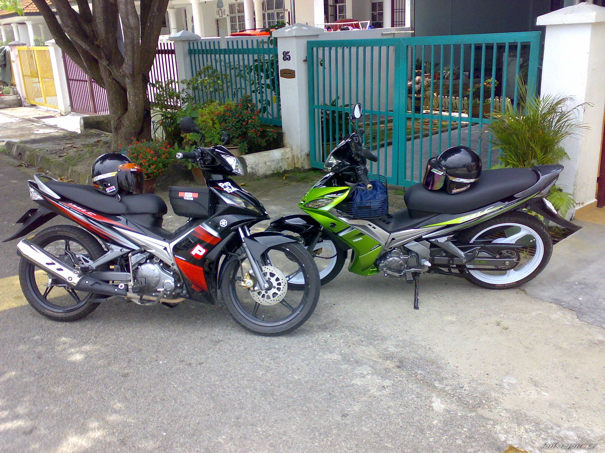 Photo 1429832