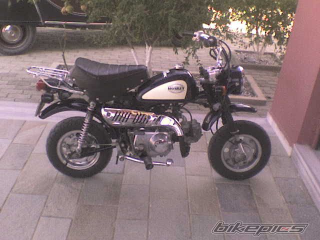 Photo 1429848