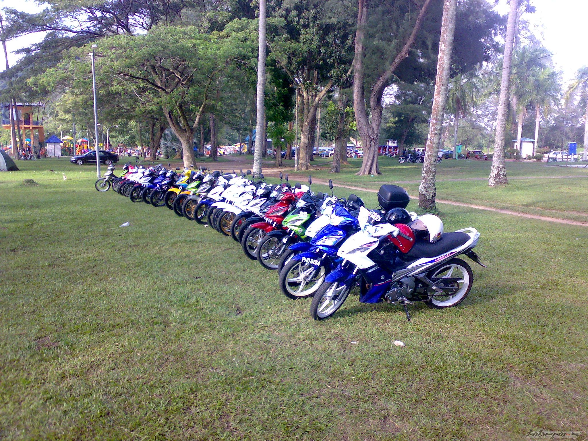 Photo 1429861
