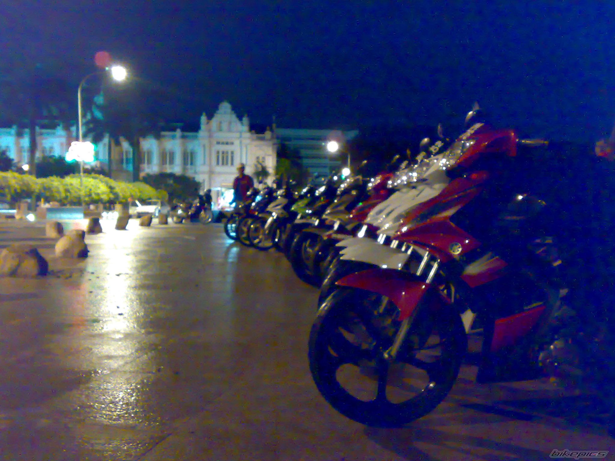 Photo 1429865