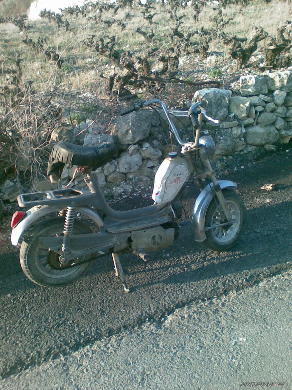 Photo 1429879