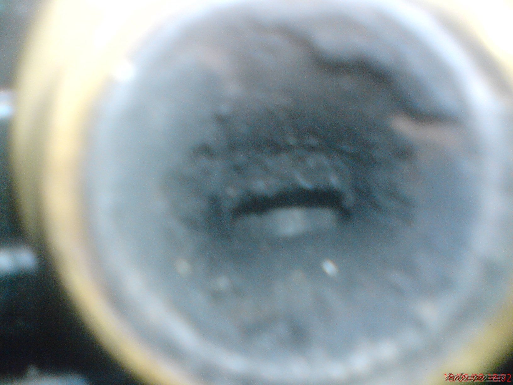 Photo 1429928