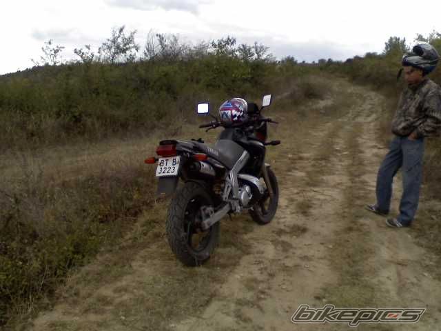 Bike Photo 1429958