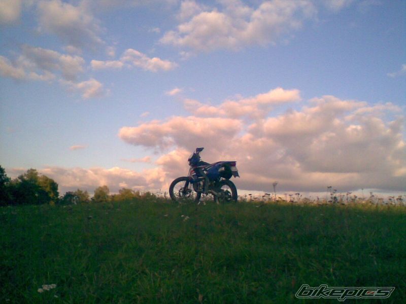 Photo 1429983
