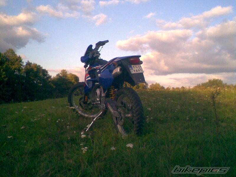 Photo 1429986