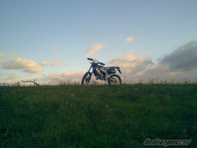 Photo 1429988