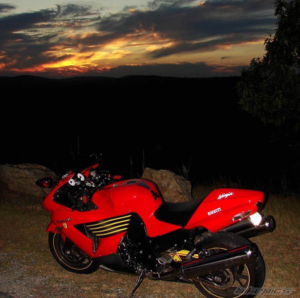 Photo 1430158