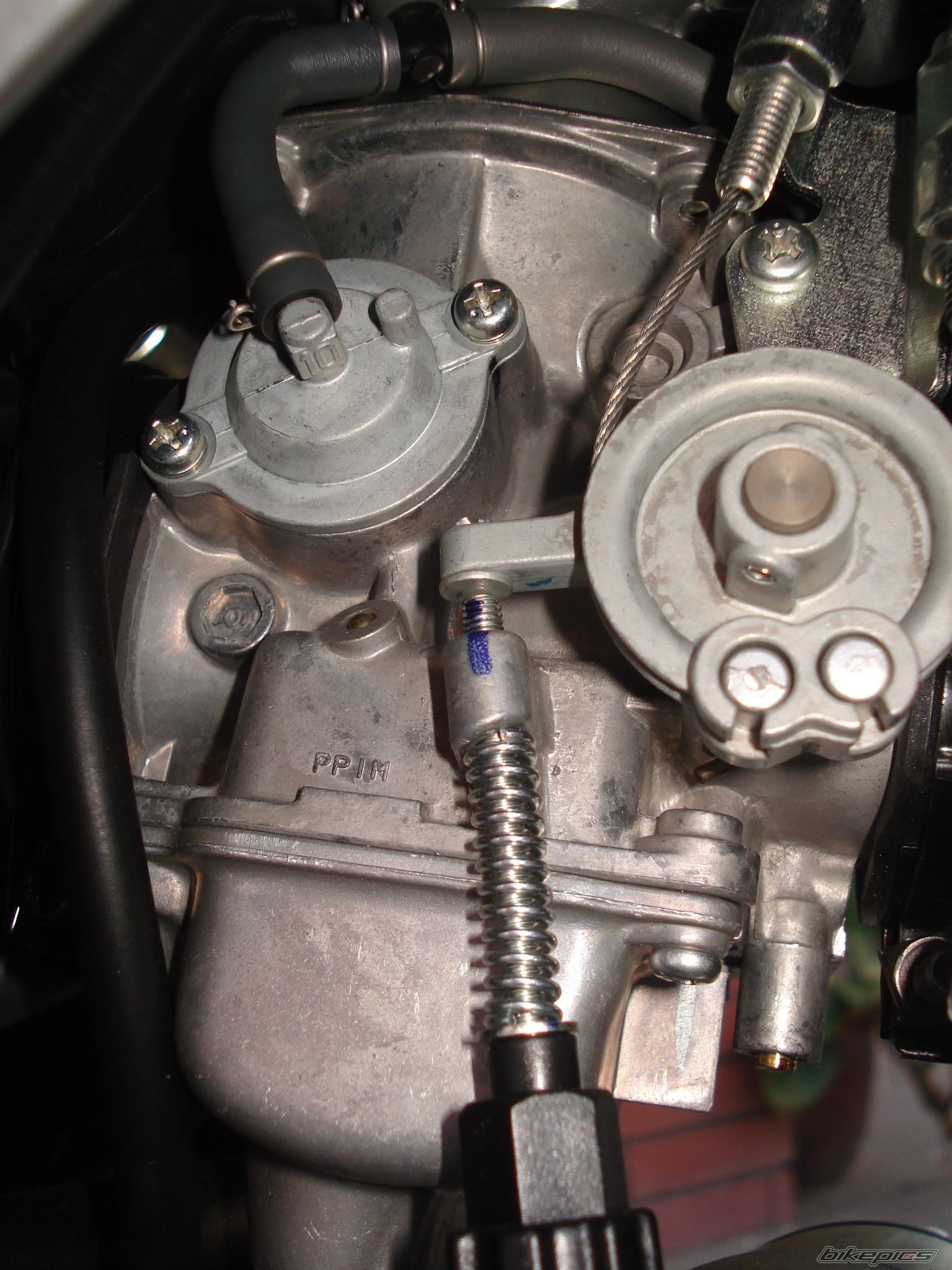 Photo 1430225