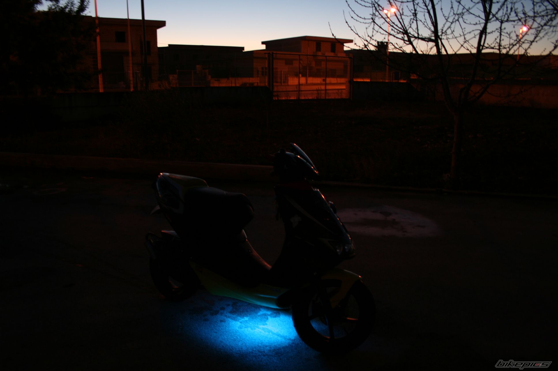 Photo 1430241