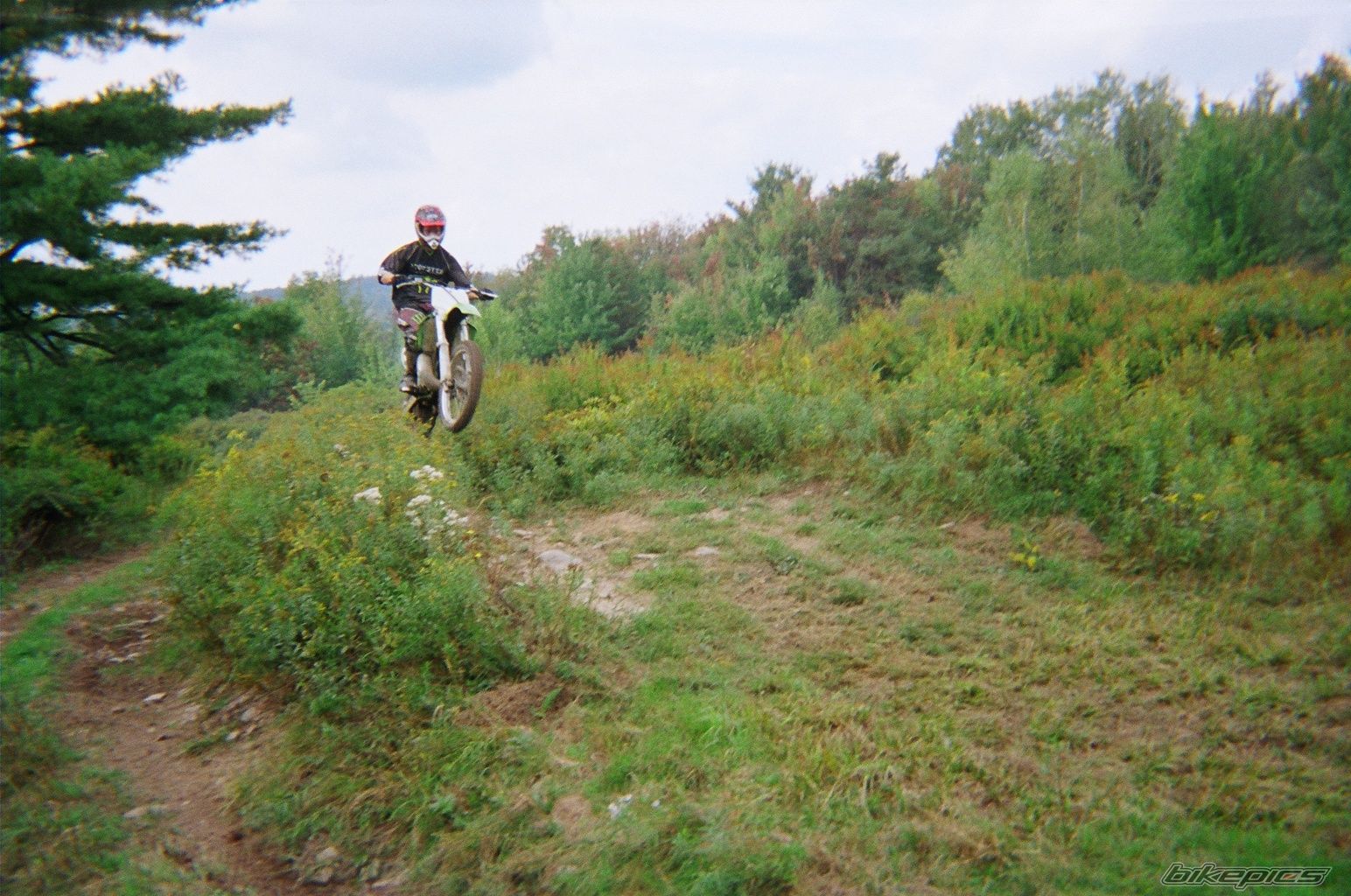 Photo 1430296