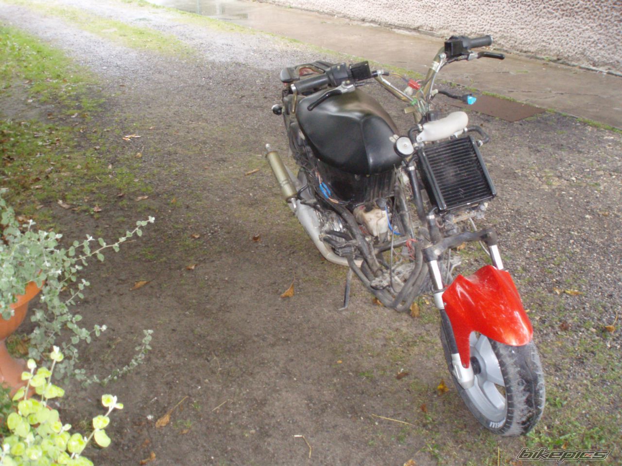 Bike Photo 1430386
