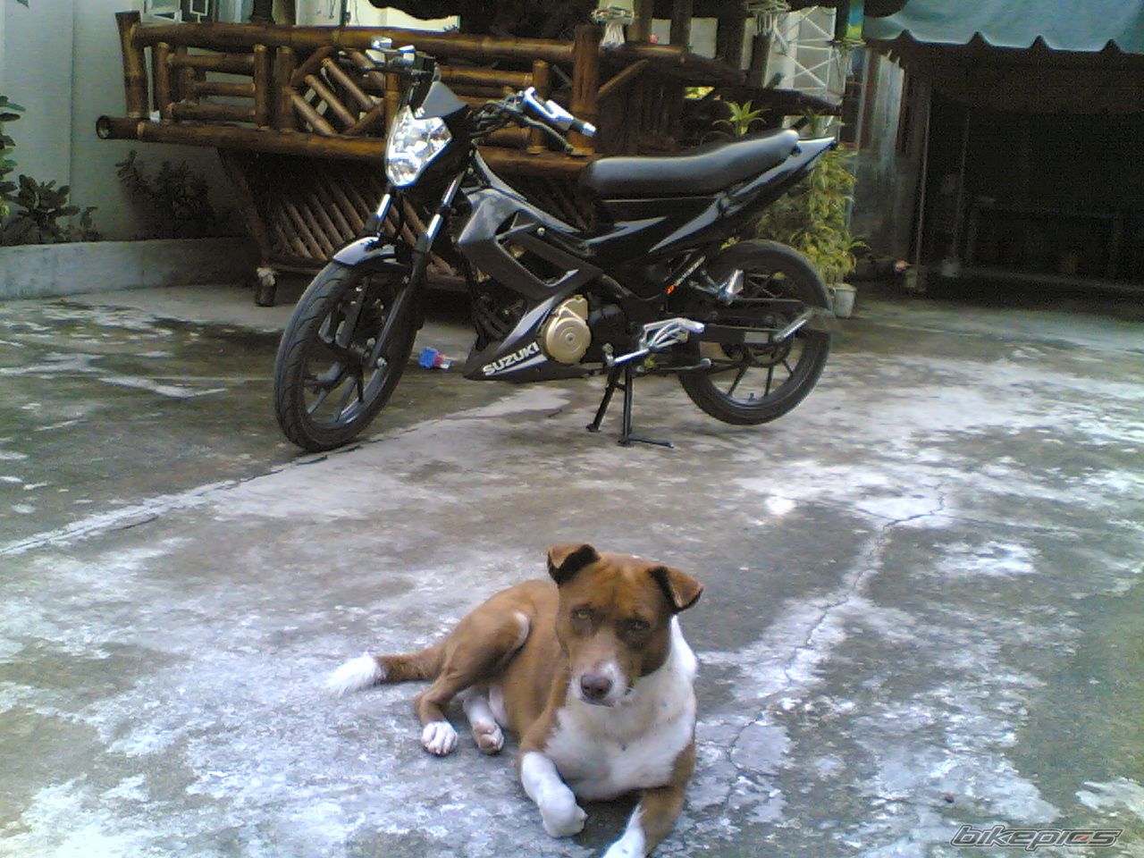 Photo 1430499