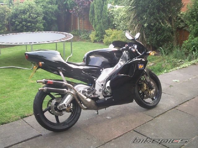 Photo 1430567