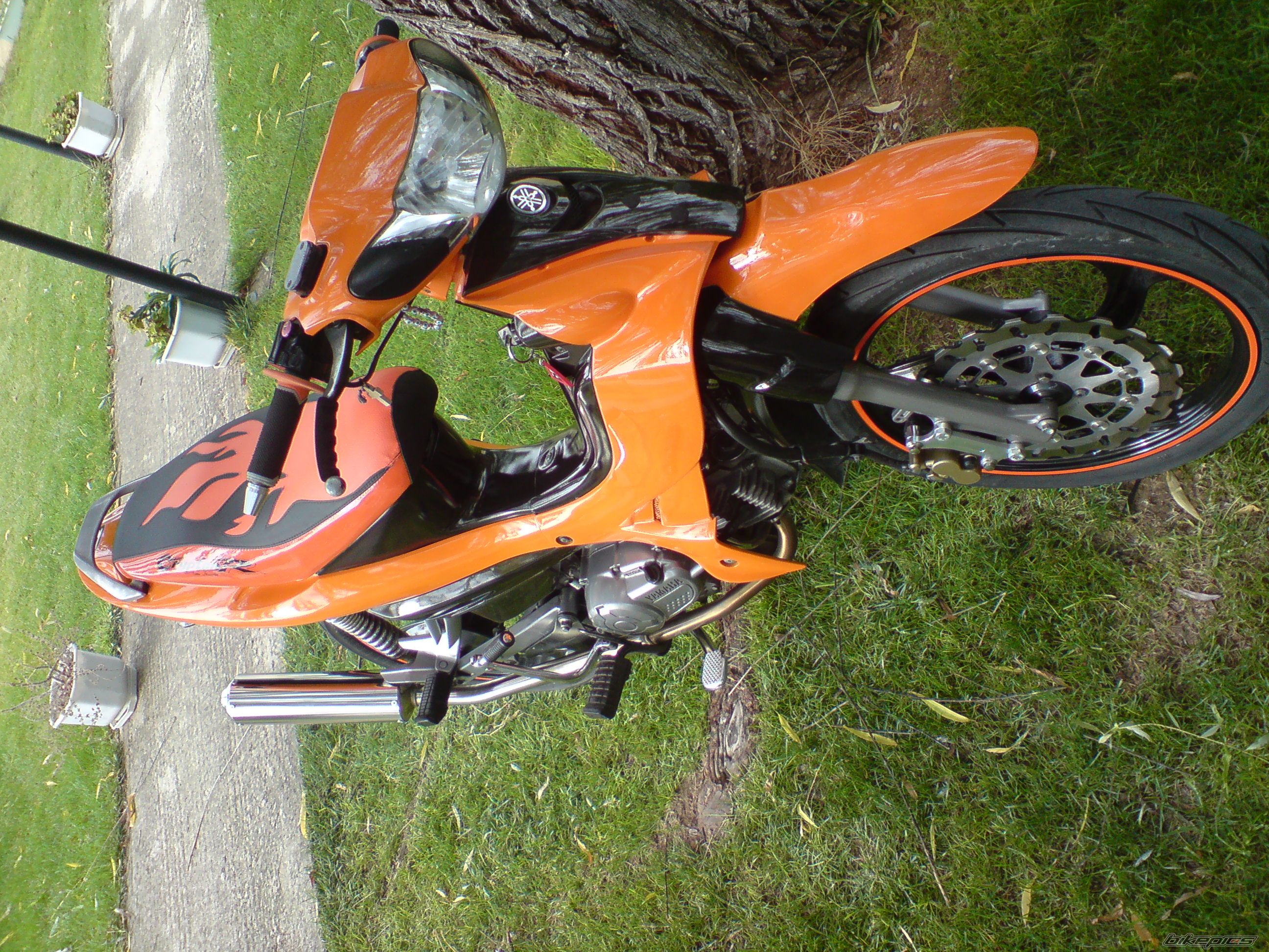 Photo 1430653