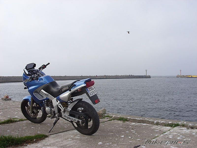 Photo 1430723