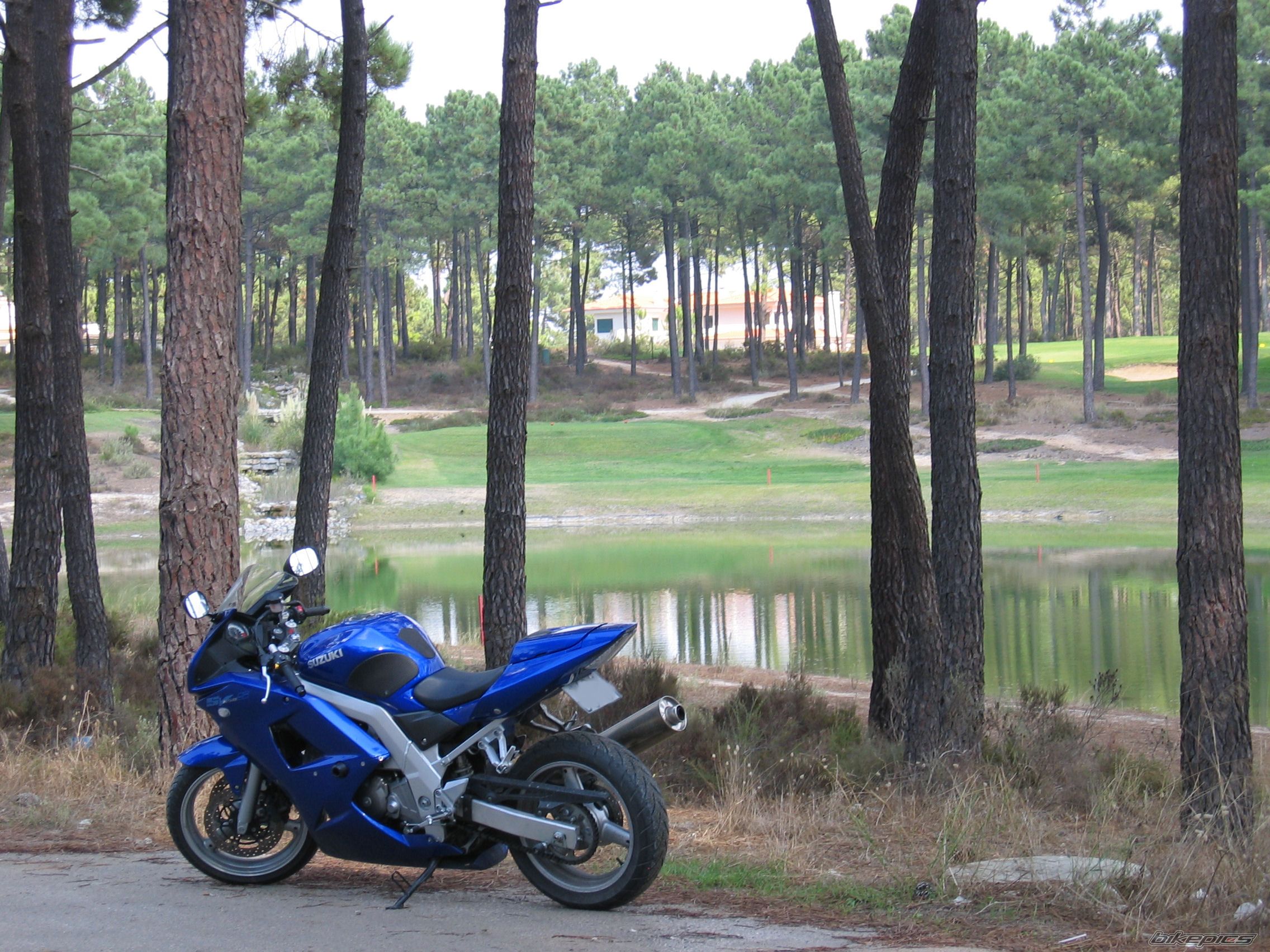 Bike Photo 1430759