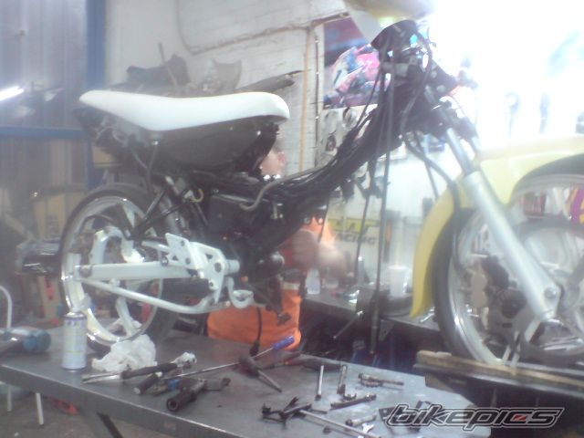 Photo 1430767