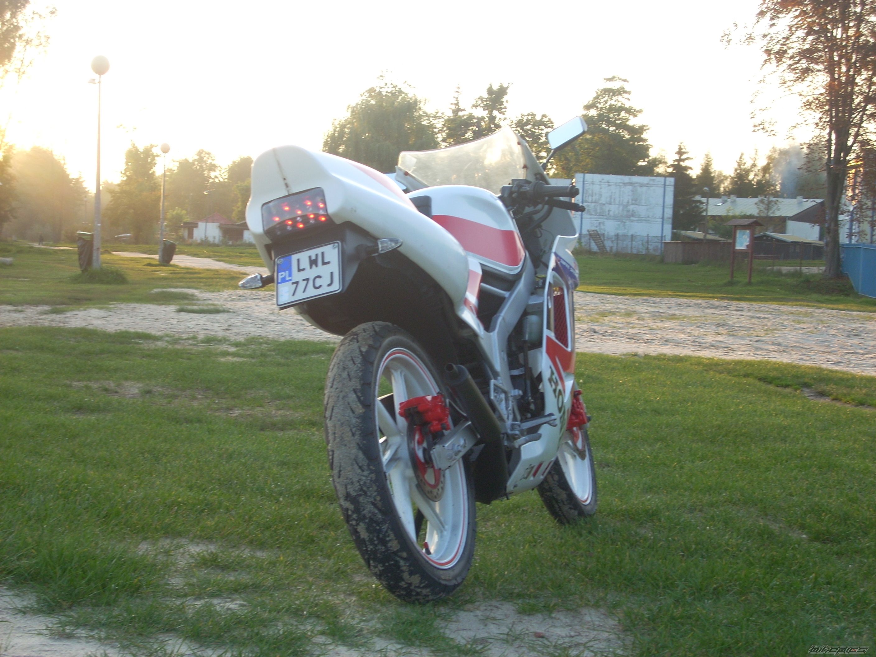 Photo 1430857
