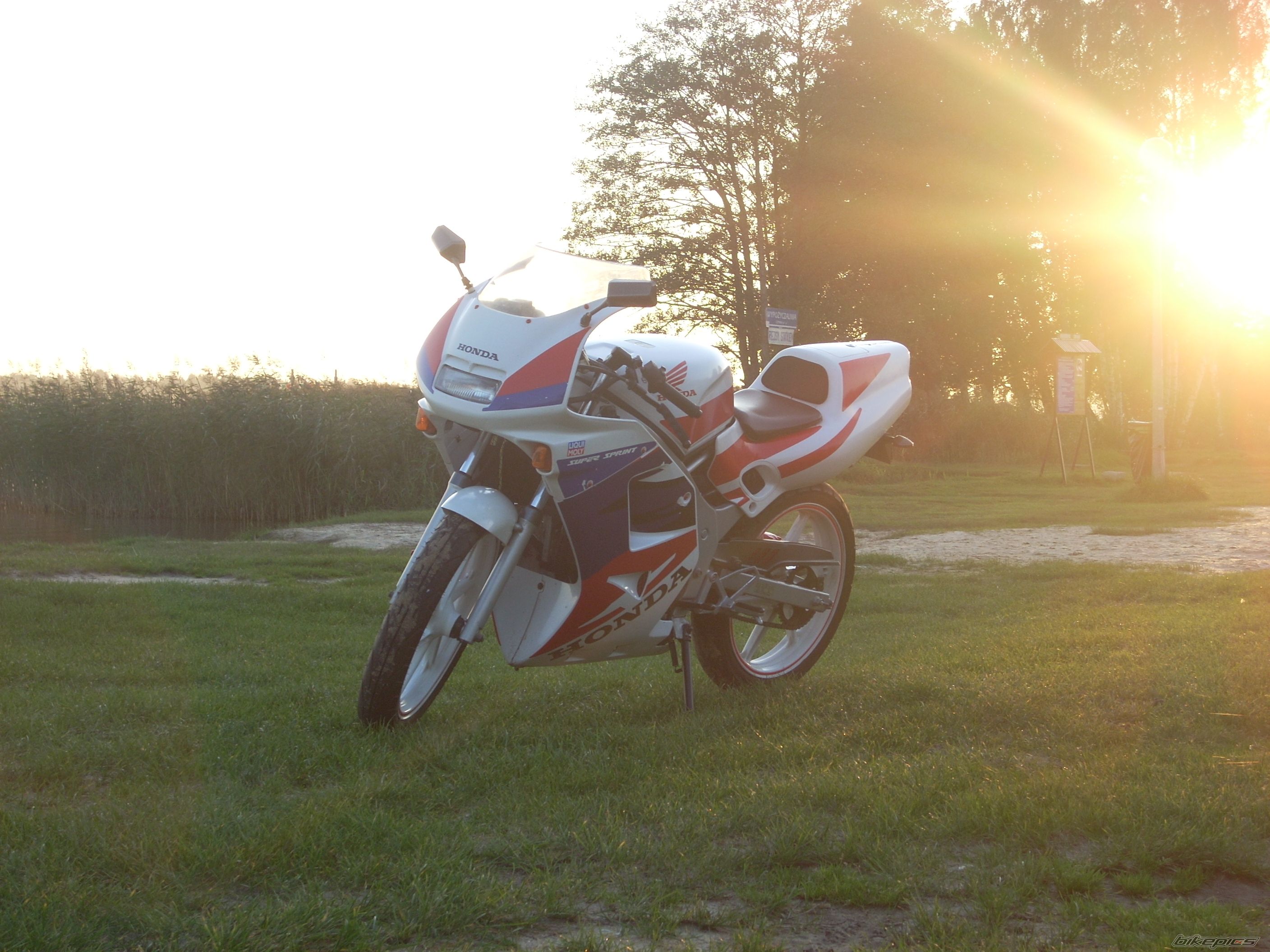 Photo 1430883
