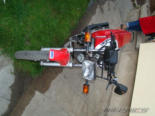 Photo 1431017