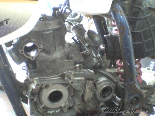Photo 1431021
