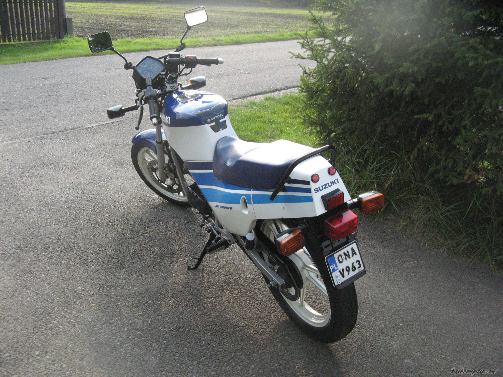 Photo 1431033