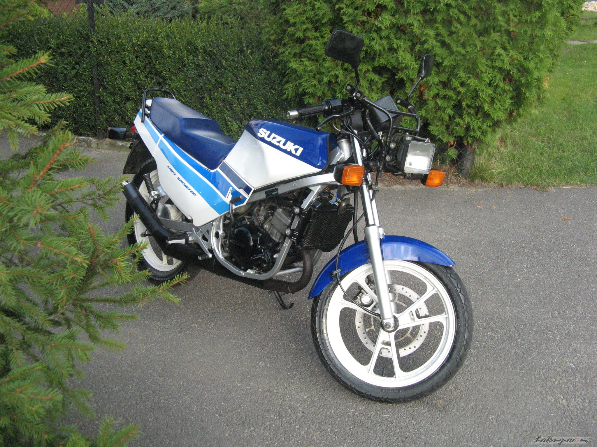 Photo 1431037