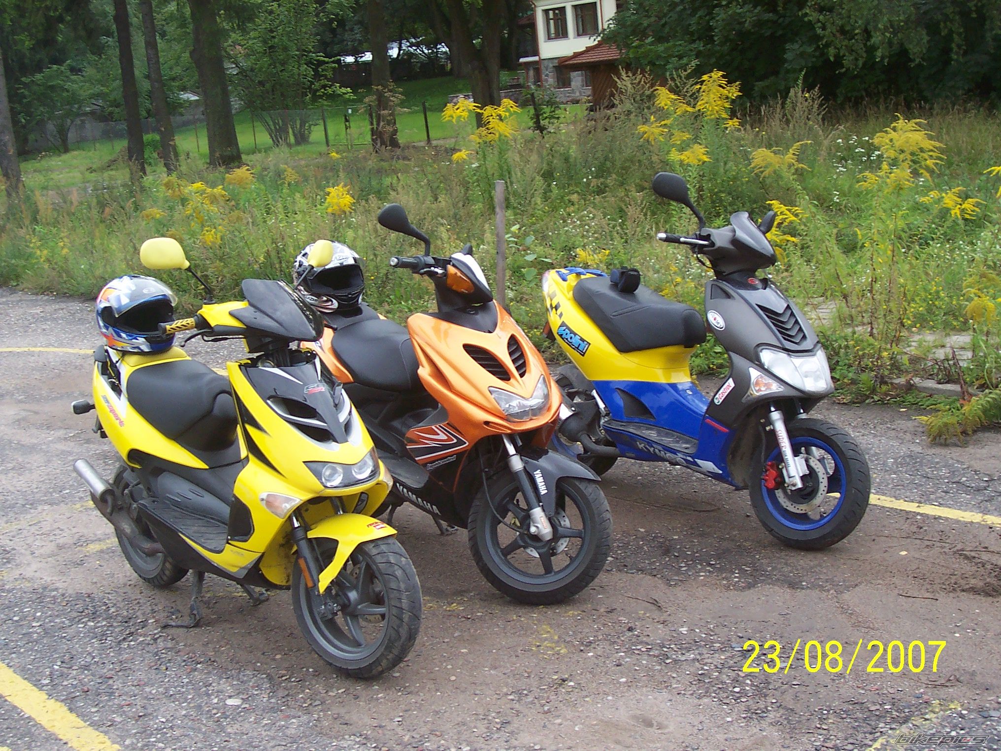Photo 1431045