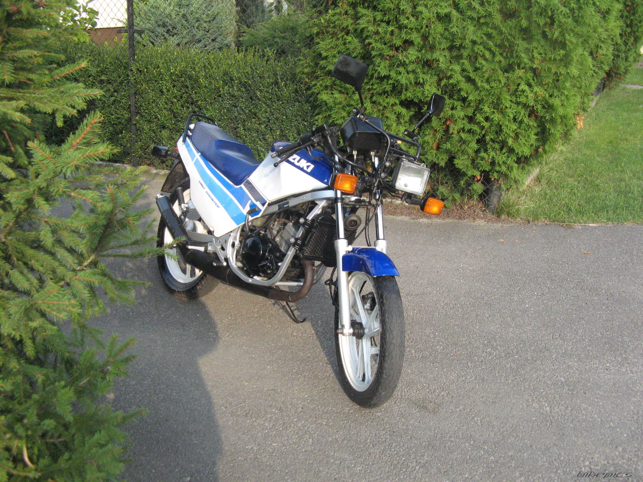 Photo 1431075