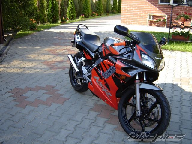 Photo 1431076