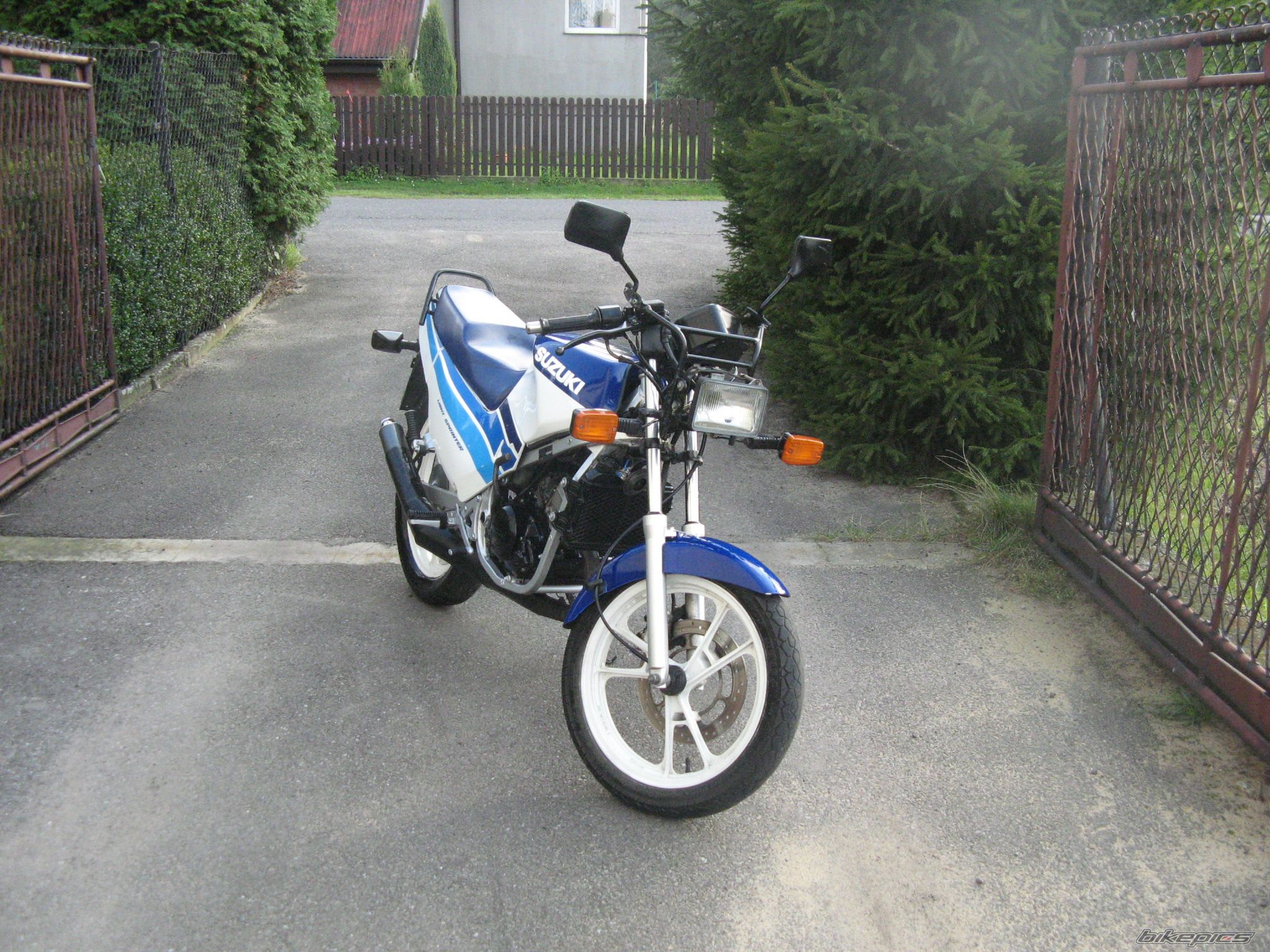 Photo 1431087