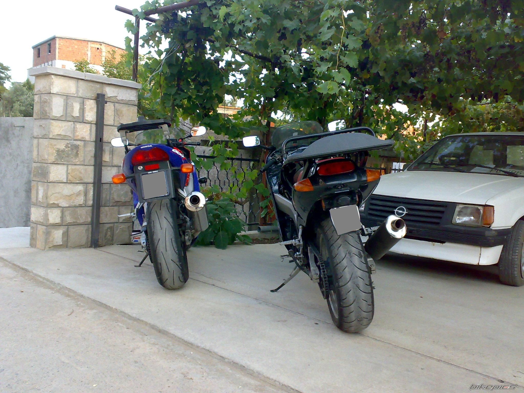 Photo 1431089