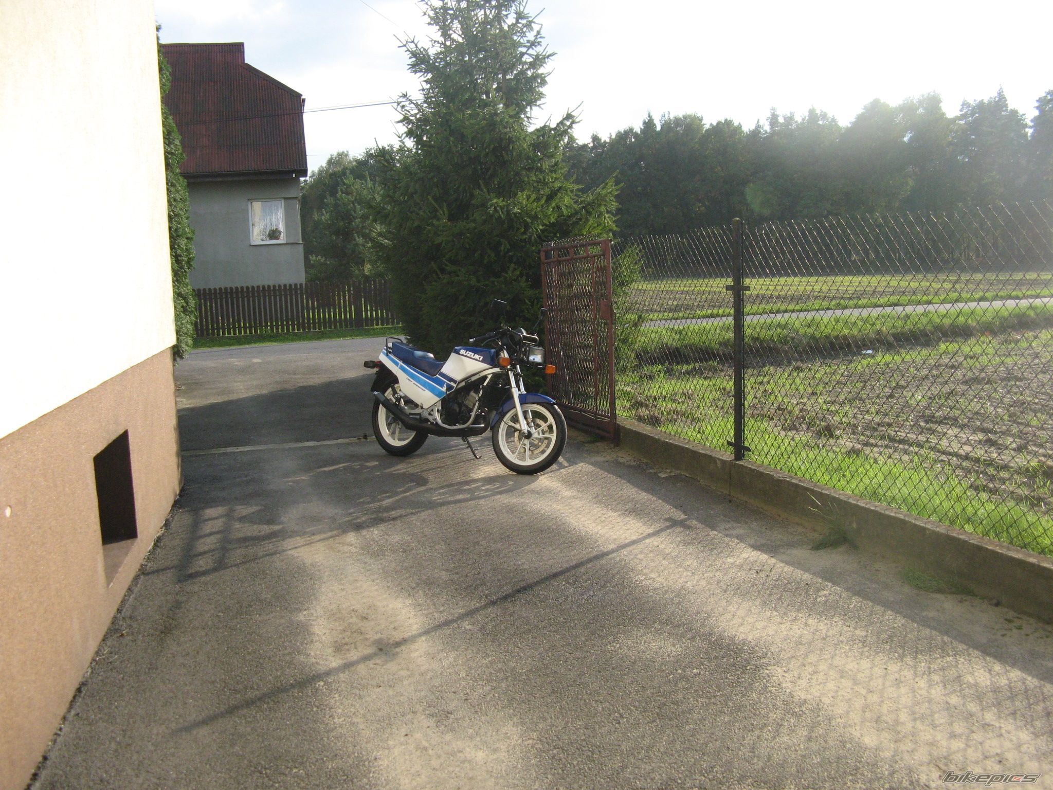 Photo 1431096