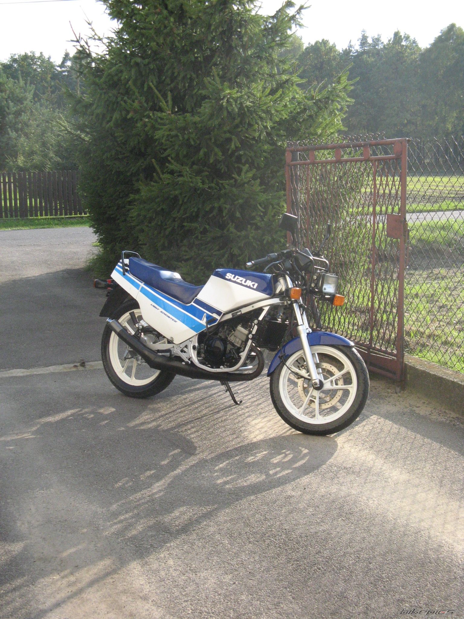 Photo 1431101