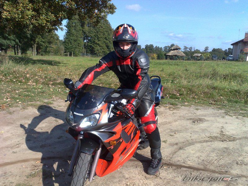 Photo 1431103