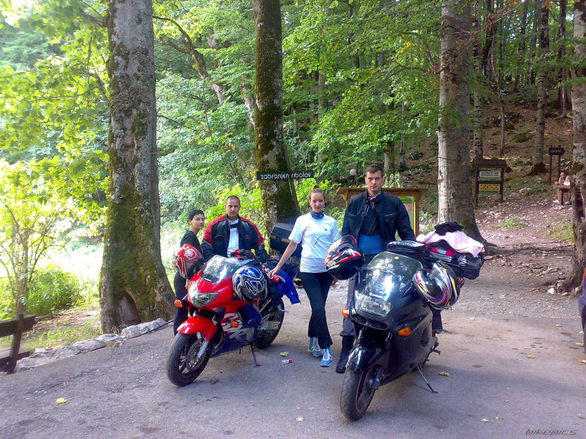 Photo 1431136