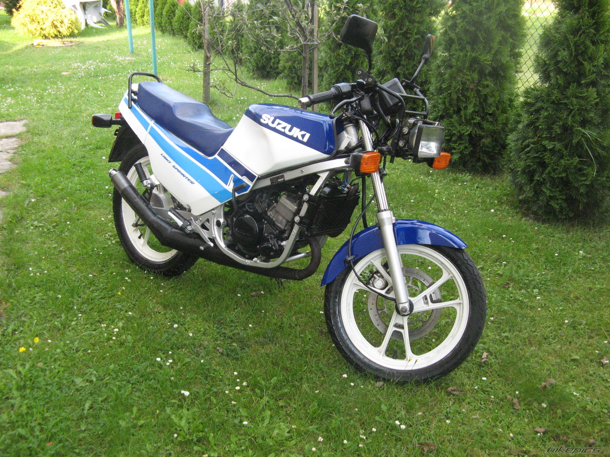 Photo 1431149