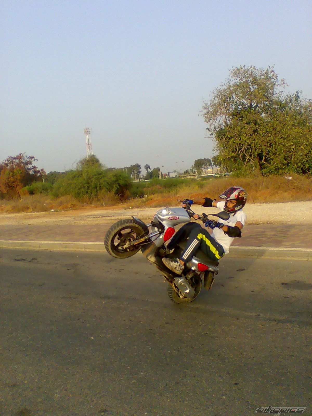 Photo 1431150