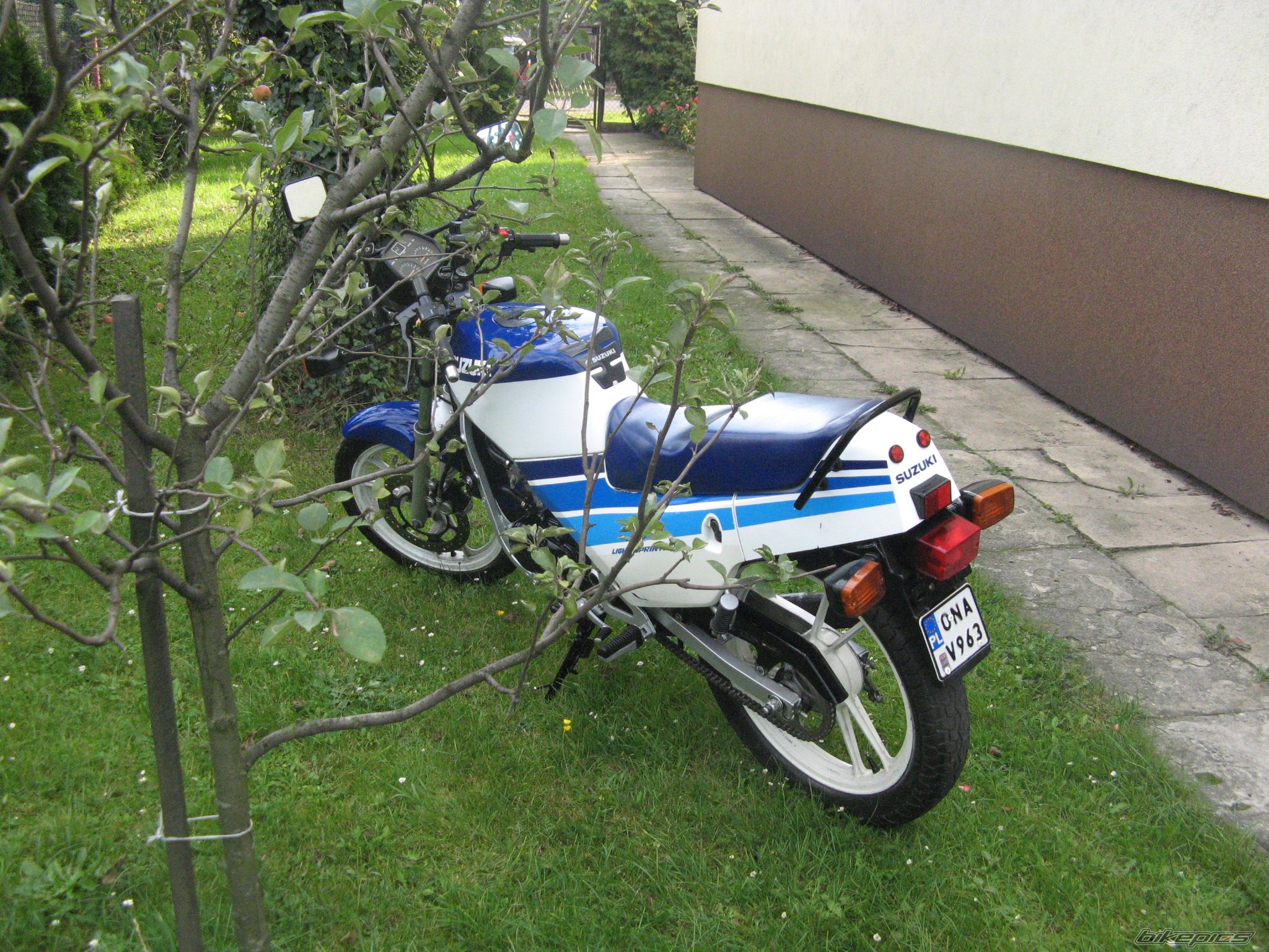 Photo 1431157