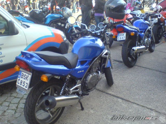 Photo 1431185
