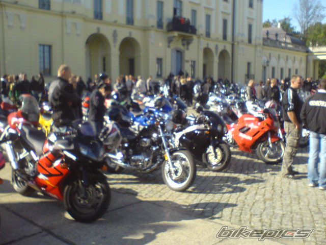 Photo 1431189