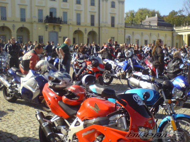 Photo 1431191