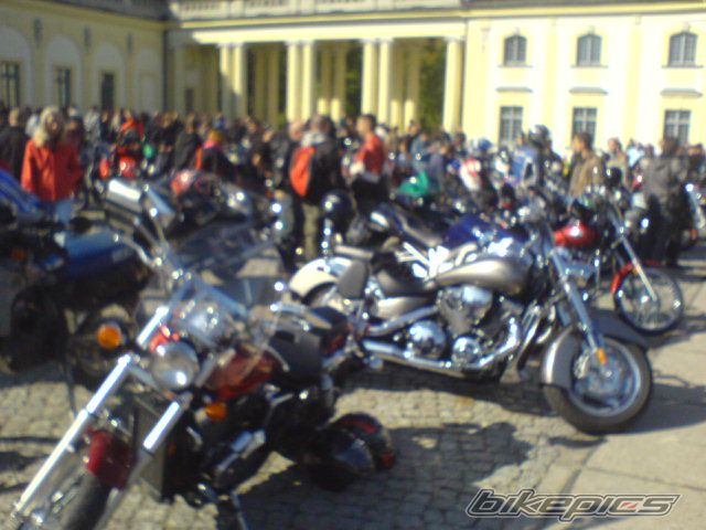 Photo 1431194
